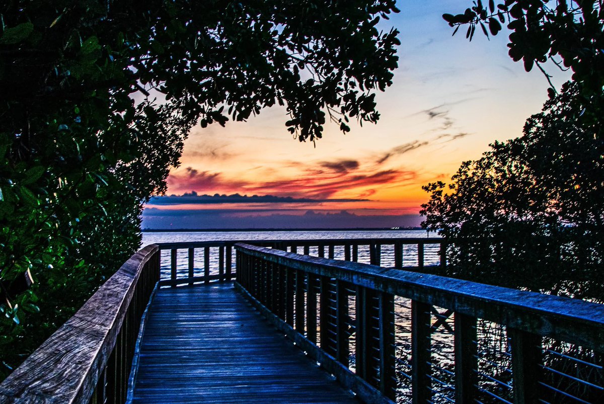 ArmyBrat68 tweet media