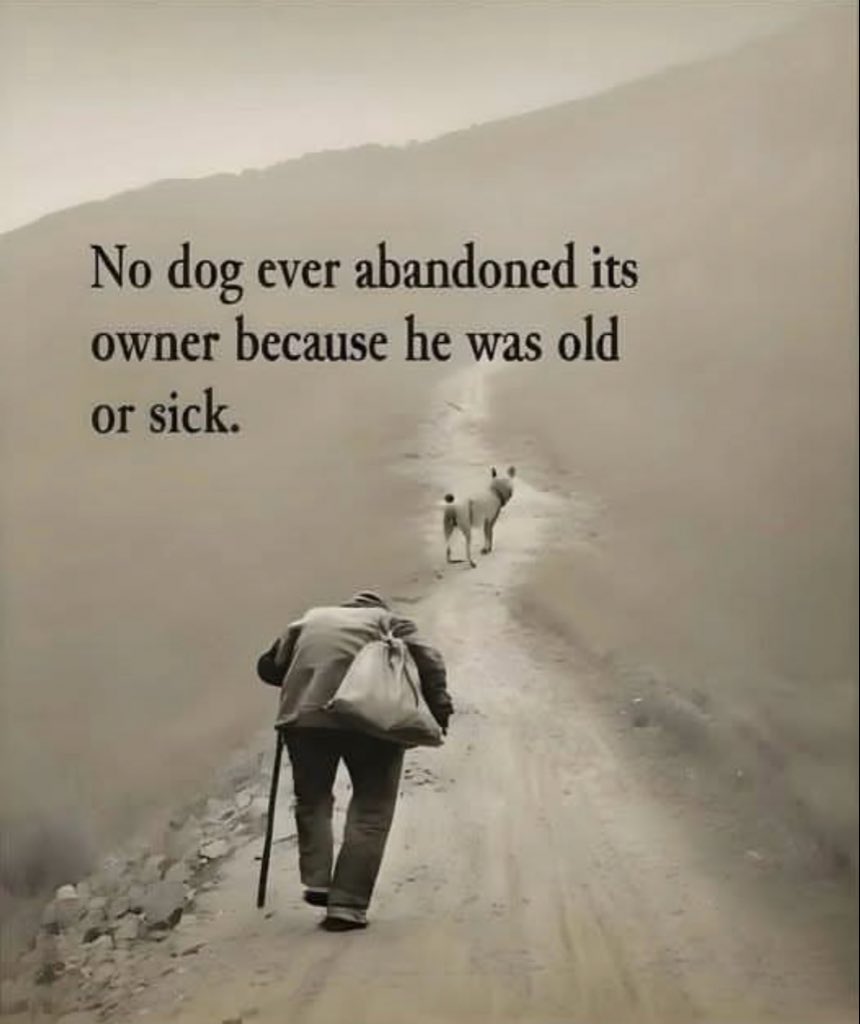 A dog is the only thing on earth that loves you more than he loves himself.