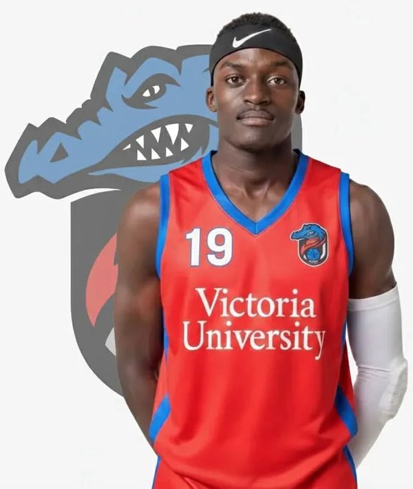 Michael Seger tweet media