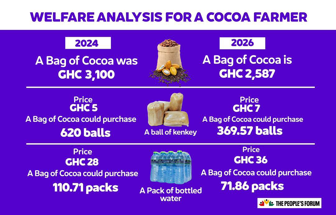 GHpeoplesforum's tweet photo. These are the real issues. It is a matter of fact that; 

1. The cost of maintaining an acre has increased by GH¢2,400.00 if a farmer adopts all the climate smart practices. 

2. Farmers are suffering a reduction in income per acre (assuming a yield of 10 bags per acre) of GH¢5,130.00. This equates to GH¢513,000.00 for a farmer with 100 acres.

3. The purchasing power of these farmers has been further reduced, rendering approximately 1 million direct farmers and 5 million individuals poorer.

This was not the promise. Cocoa farmers deserve better!

#CocoaFarmersHaircut
#ThePeoplesForum
#VoiceOfThePeople