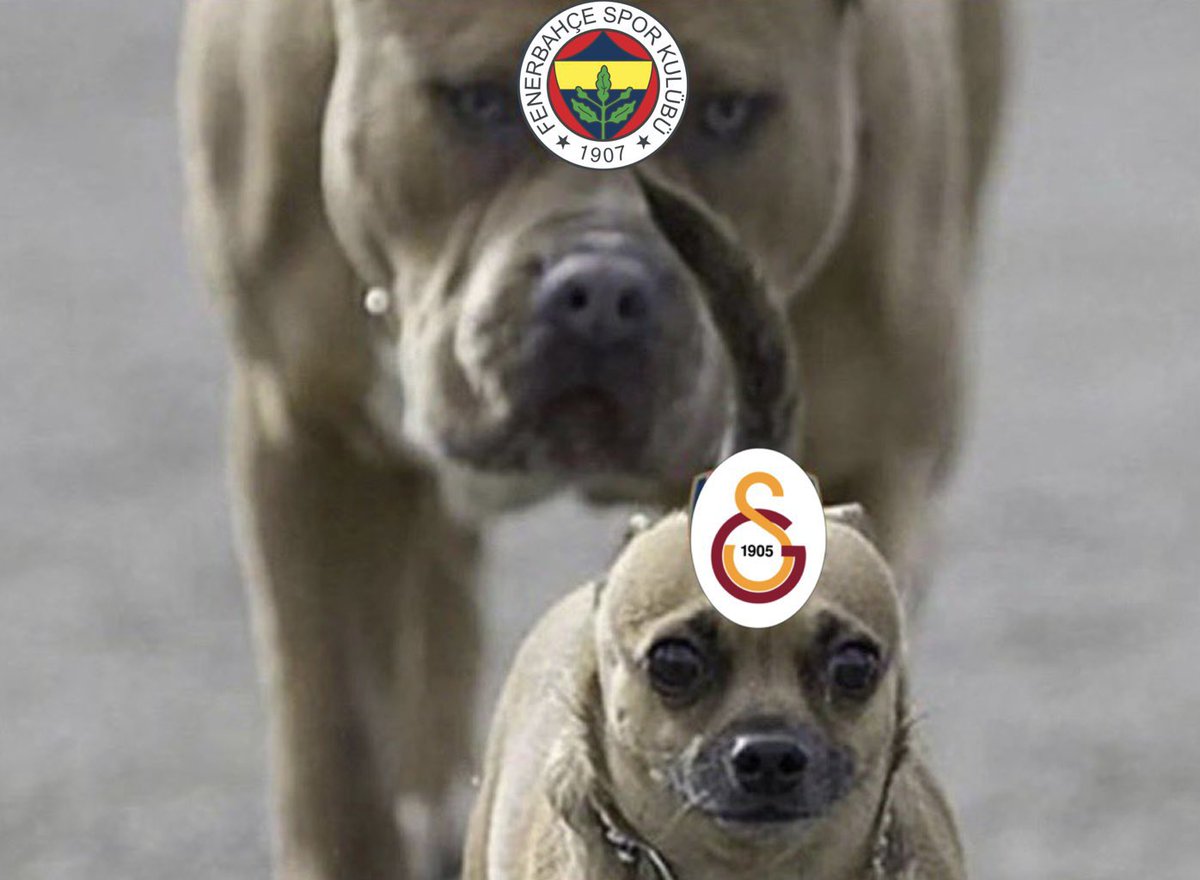 “Enselerindeyiz” “şu şekil darlıyoruz”