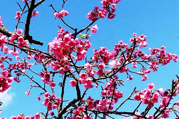 占いサロン順震(原宿当たる占い師5選、ヤフー占い売上No1占い師）2/28