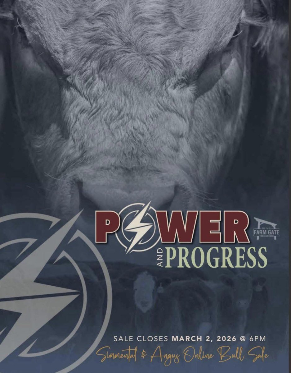 fraserauction's tweet photo. The videos are ready. Click the link below to see videos of all the incredible bulls in this sale. POWER and PROGRESS Bull sale. Incredible people working to produce incredible cattle. Lot 43 Nightwatch is a bull Lori Campbell and I are very proud of. Be sure to have a look at him and all the other incredible bulls on offer. Your next herd sire awaits  

 https://t.co/5aw8ukEnFL
