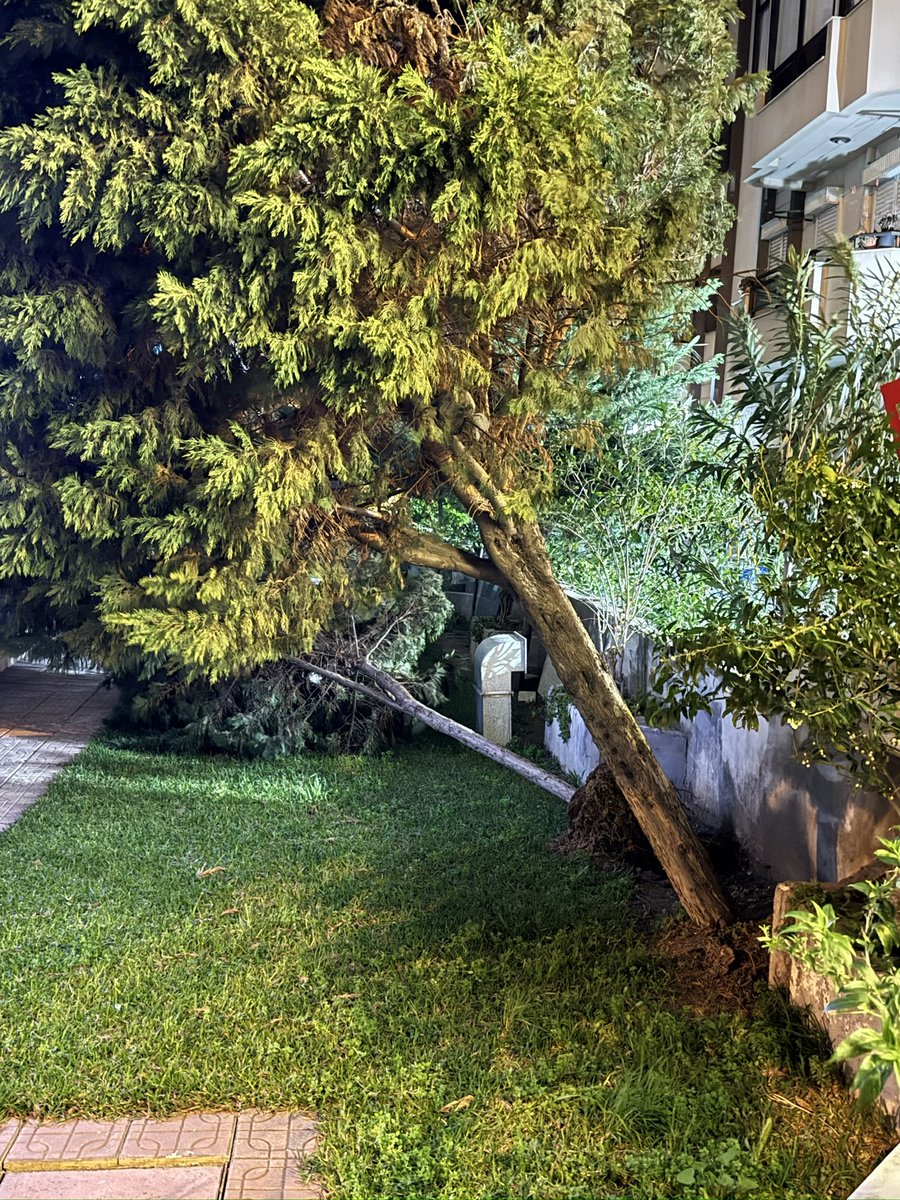ceyshedesign's tweet photo. İzmir de rüzgardan ağaçlar söküldü olan yine tabiata oldu 😔😔😔😔 #izmir https://t.co/EpILCXS0rK