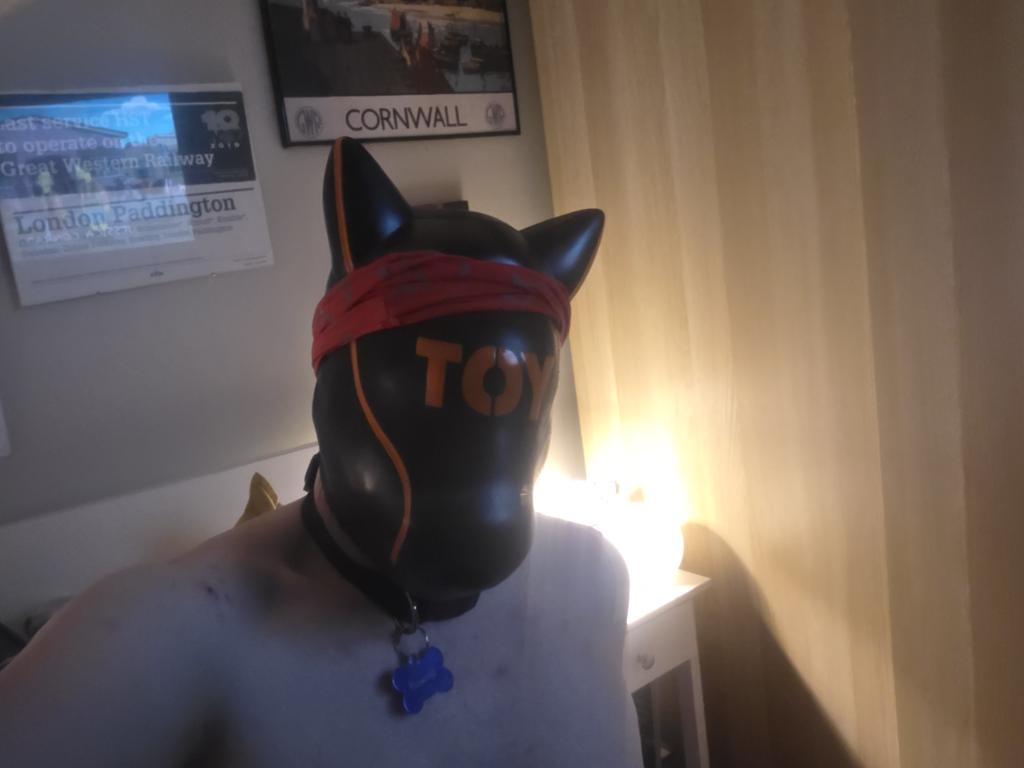 Pup Bonkers tweet media