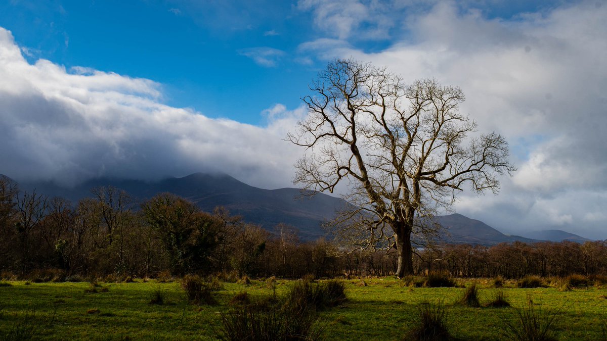 Rob Watson Photography tweet media