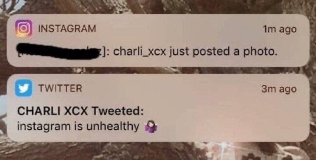 harry pop princess (@solohst) on Twitter photo 