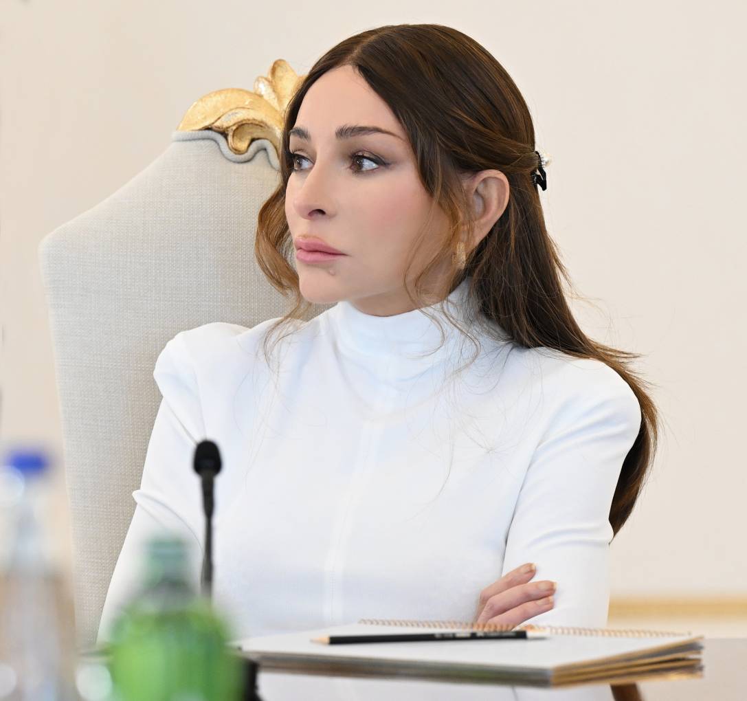 Elektron səhiyyə sistemləri, rəqəmsal təhsil platformaları, onlayn sosial xidmətlər və elektron müraciət mexanizmləri vətəndaşların dövlət xidmətlərinə çıxışını daha rahat və operativ edir