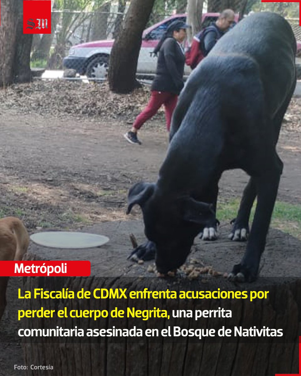 El Sol de México tweet media