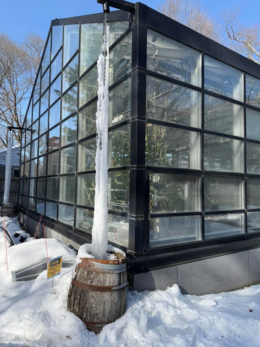 Even though the rain barrel on today’s run was a bit frozen over, a perfect day for an afternoon run in the sun! #frozen #ice #winter #winterrun #winterrunning❄️