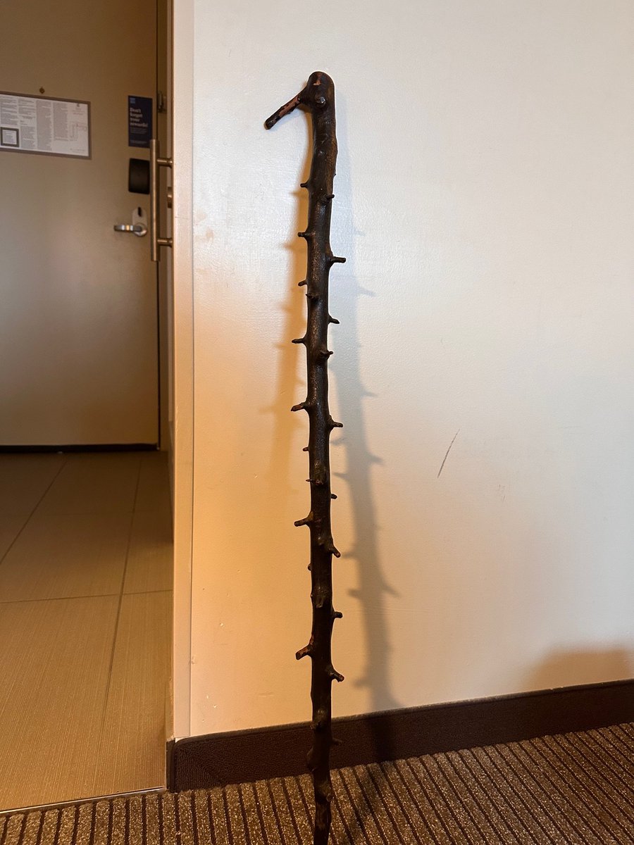 bought a blackthorn walking stick at a thrift store in virginia beach

look at the thorns on this bad boy, perfect height for me
