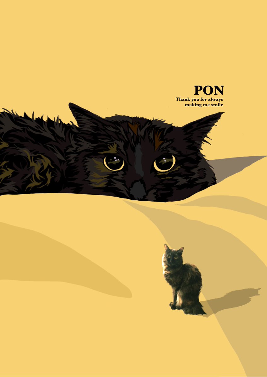 mee_fuu_pon's tweet image. #猫イラスト #サビネコ
#猫のいる暮らし

？
🐻