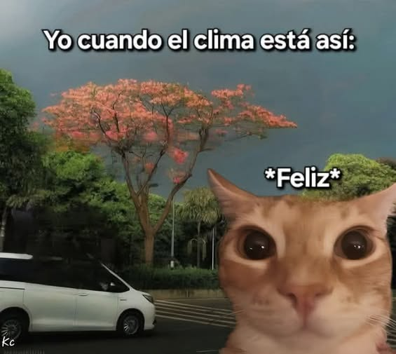 🧚 (@muyyforraa) on Twitter photo 