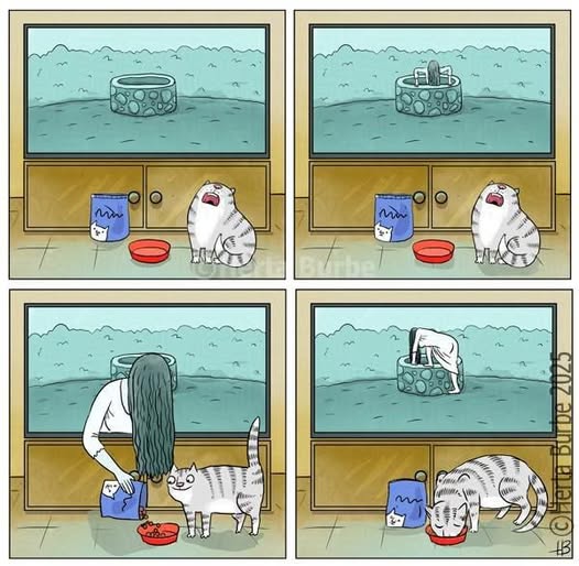 Классицизм и диспансеризация tweet media