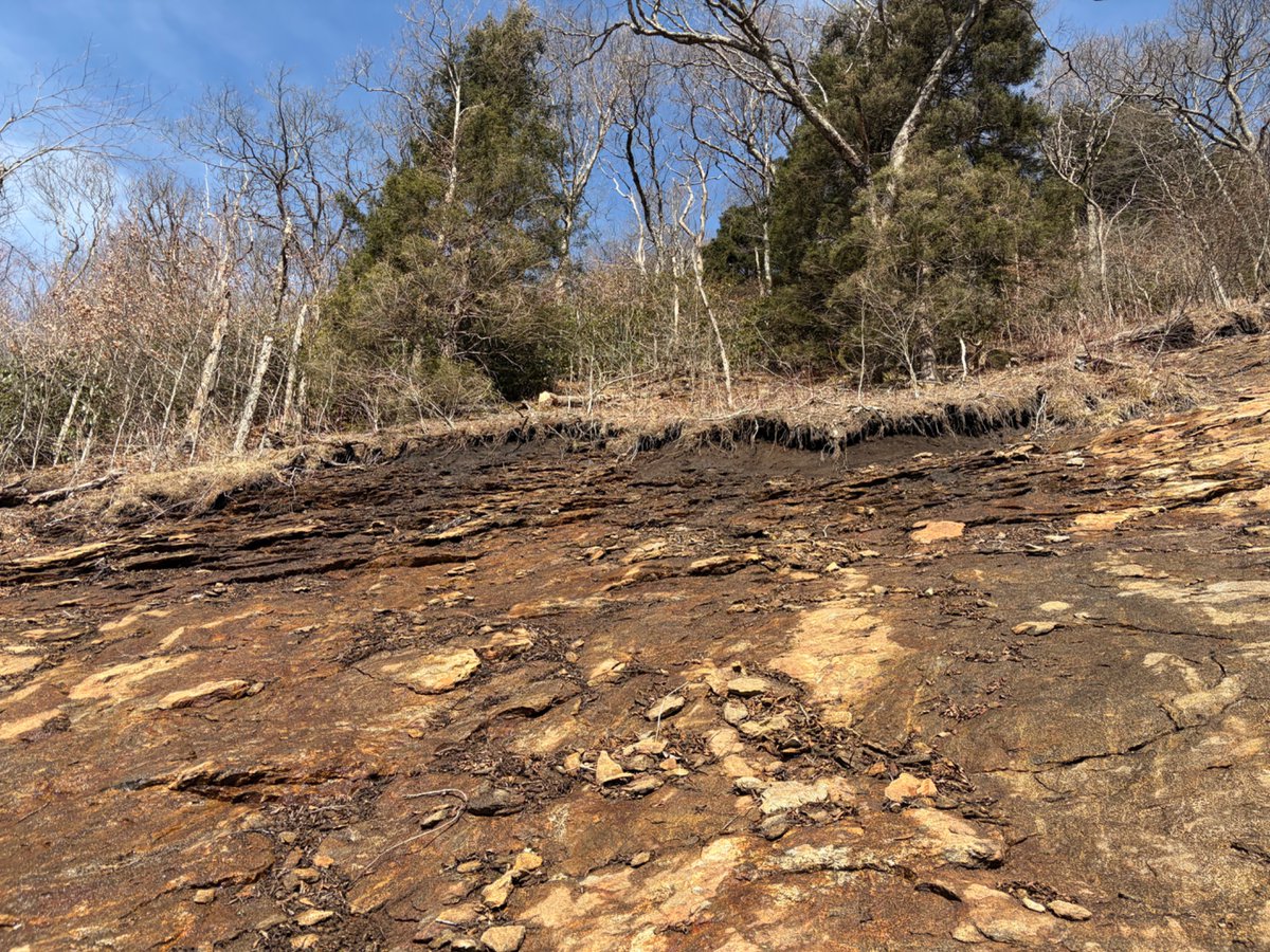 AllPhilsFault's tweet image. Burly mission up what may be Helene’s longest debris flow…2.95 miles or so, dropping 3,000 ft. This one stayed in Nat Forest and hurt no one. Upper part is dramatically steep, and the whole thing initiated with a small landslide of a thin sheet of soil atop bedrock at 5,700 ft.