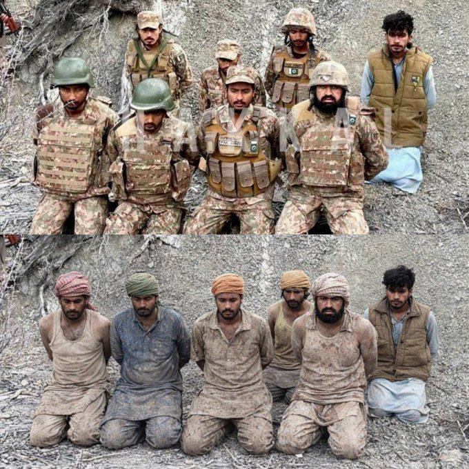 Transatlantic Intelligence Consortium tweet media