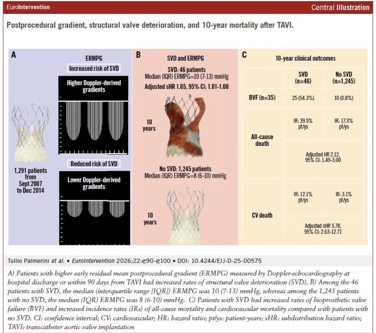 Muhammad Anis Haider tweet media