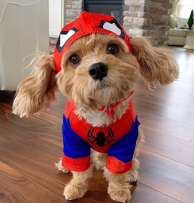 '𝐁𝐔𝐂𝐊𝐘 ”ᴡɪɴᴛᴇʀ ꜱᴏʟᴅɪᴇʀ” tweet media