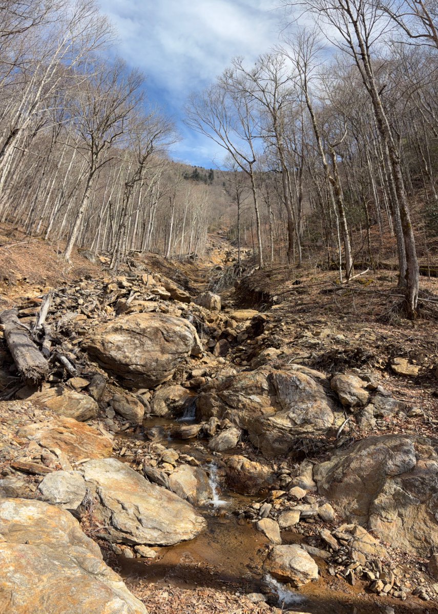 AllPhilsFault's tweet image. Burly mission up what may be Helene’s longest debris flow…2.95 miles or so, dropping 3,000 ft. This one stayed in Nat Forest and hurt no one. Upper part is dramatically steep, and the whole thing initiated with a small landslide of a thin sheet of soil atop bedrock at 5,700 ft.