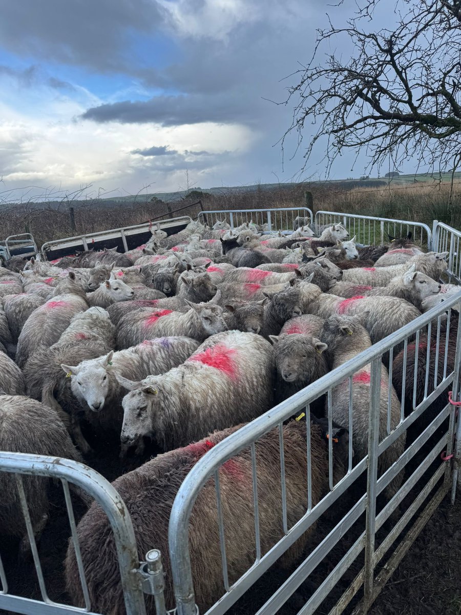 Aled Johnson tweet media