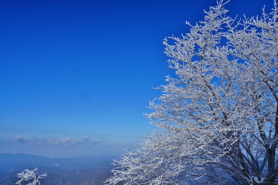 おはようございます
高見山山頂の樹氷
青空に映えて
最高に幻想的でした
 #樹氷  #霧氷
