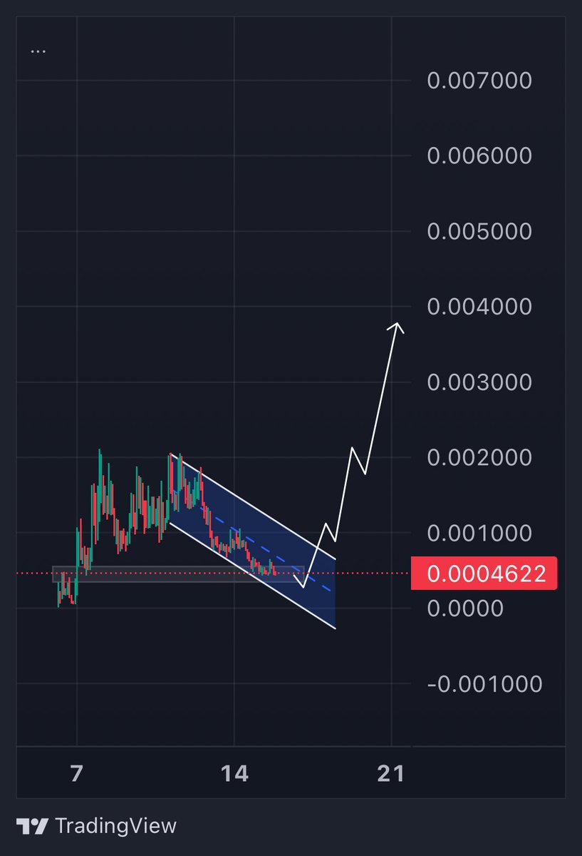 $pigeon are you ready for the top blast 💥