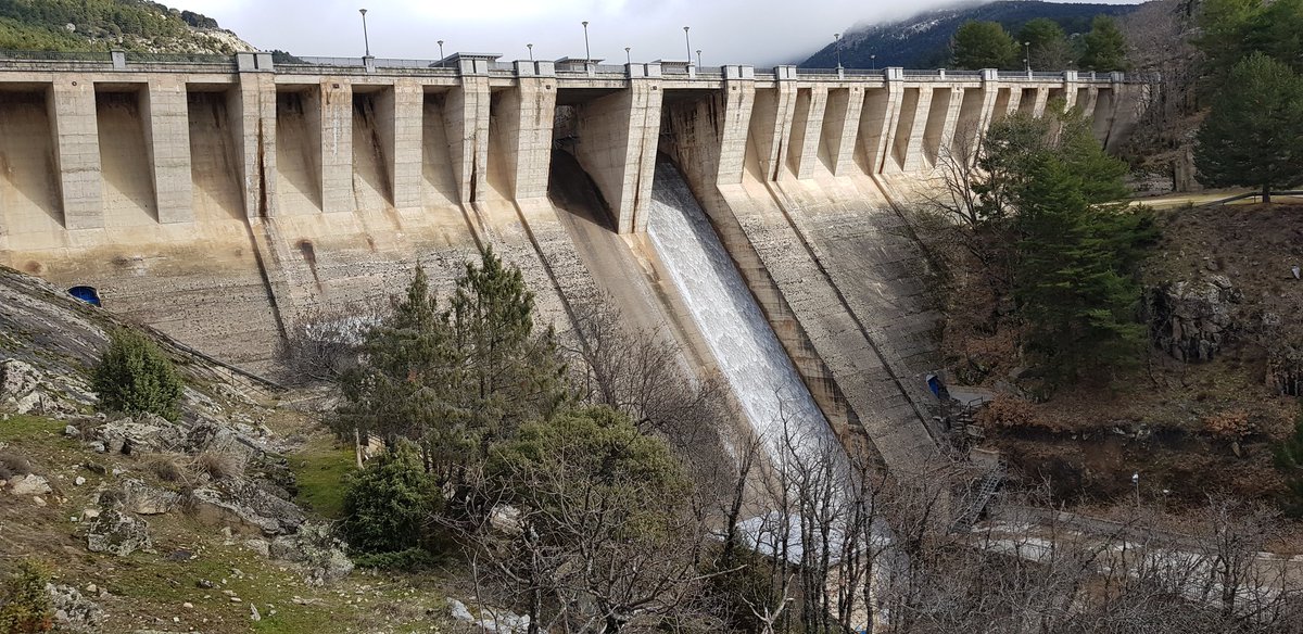 Discus 2cT tweet media