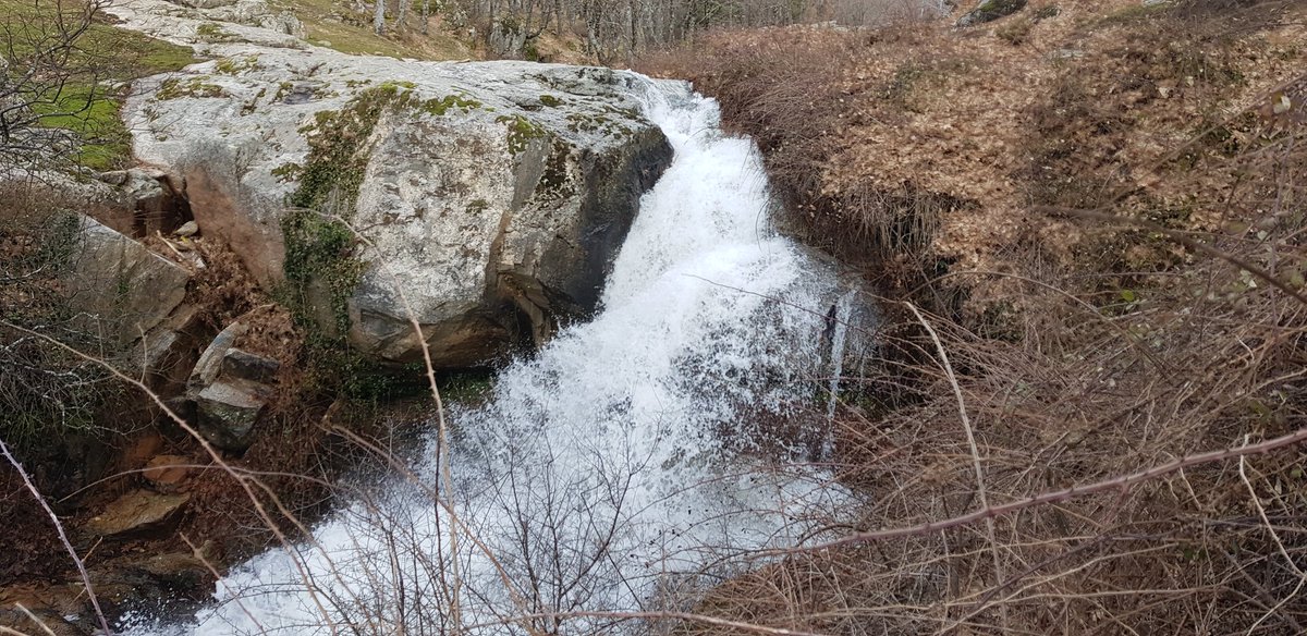 Discus 2cT tweet media