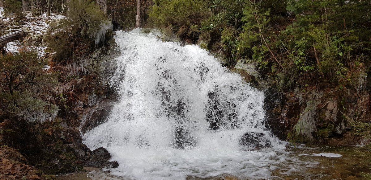 Discus 2cT tweet media