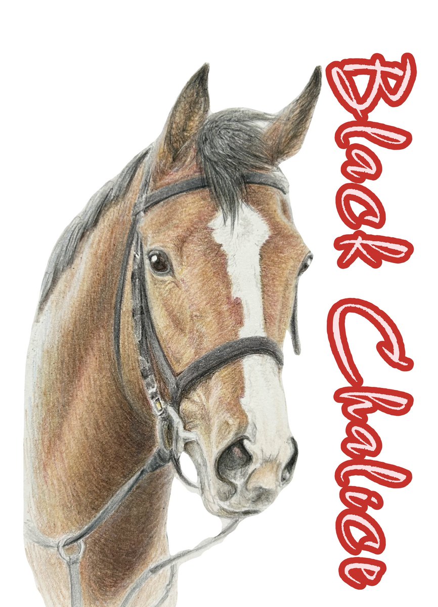 meishosirius tweet media