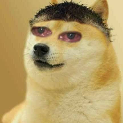 Content Viewer tweet media