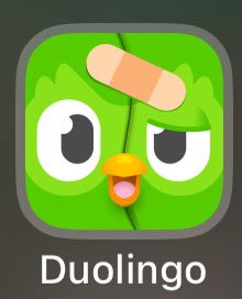 ArmCastilla's tweet photo. @duolingo why are you showing that crack? https://t.co/WsBZKIk0Xk