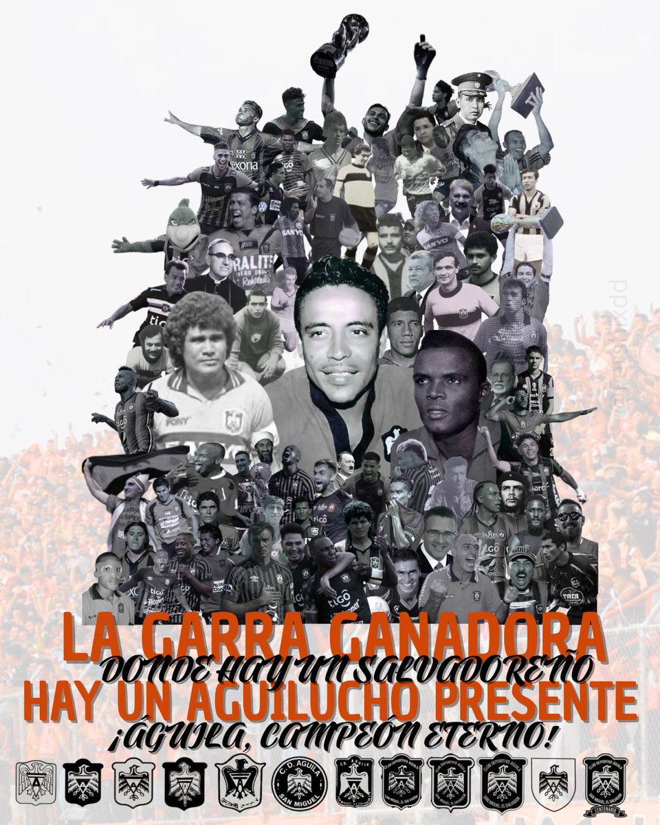 Fershi 🦅🦅🦅 tweet media