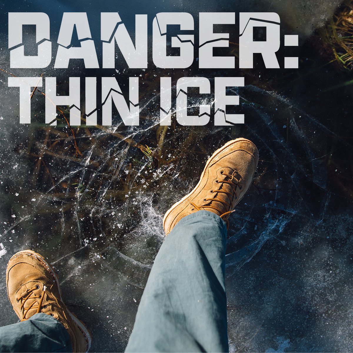 Senator Lisa Baker tweet media