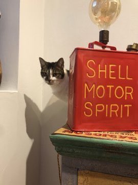 SarahArmit's tweet photo. @benford_phil Here’s an oil can that my husband turned into a lamp. Bit of a cat magnet, too. https://t.co/bgp6Osyf3Q