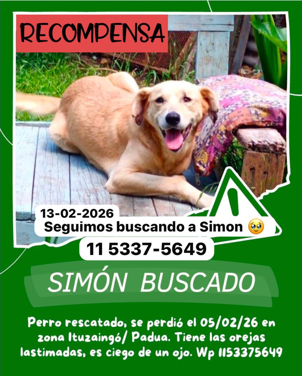 Laura 💙 🐱 #EraMacri tweet media