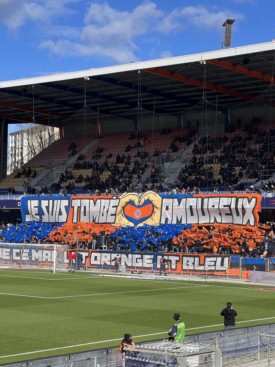 LisaVolpe 🇫🇷 🧡💙 tweet media
