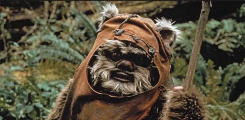 I gotta say, addiction is horrible. He once was a Care Bear. 🤣