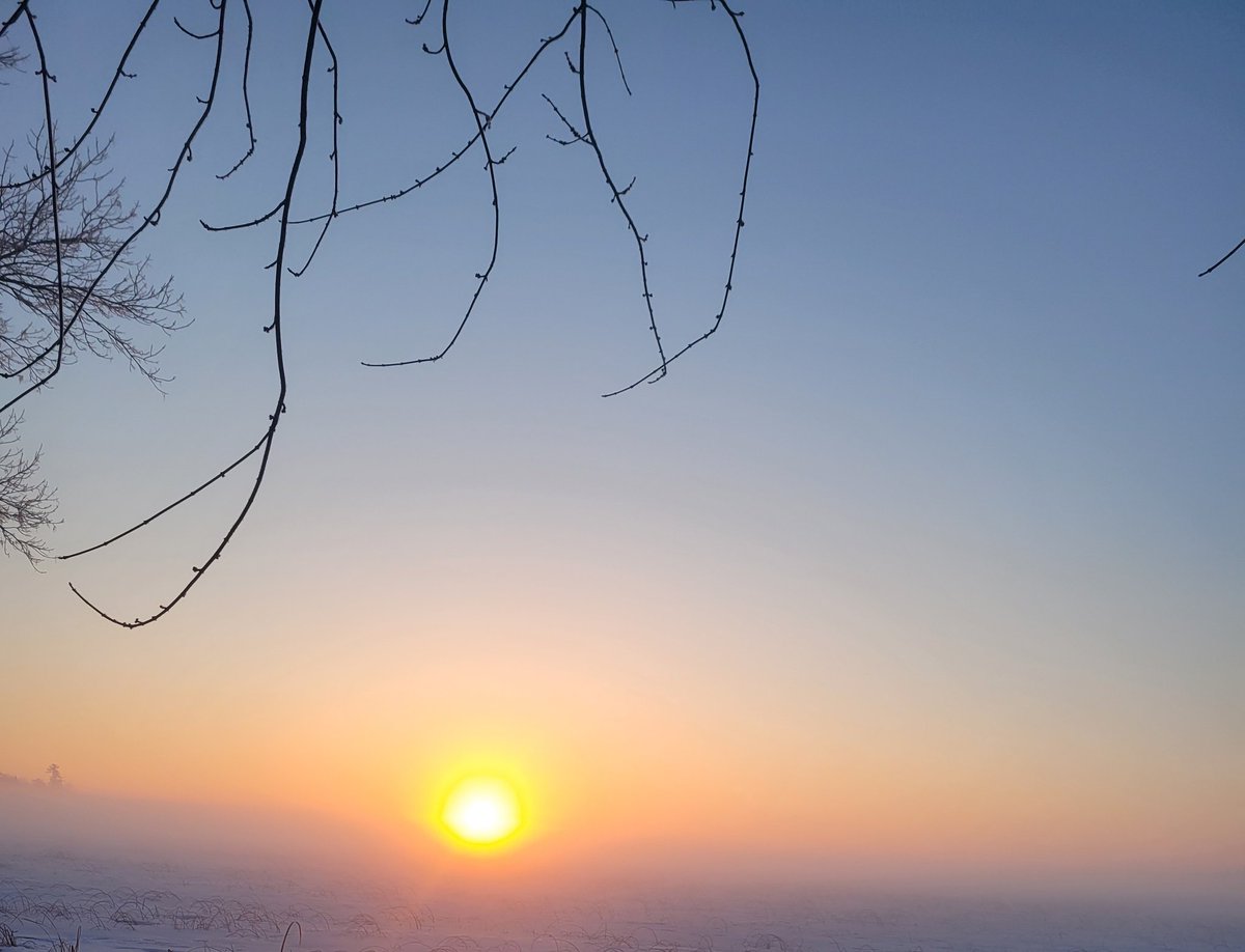 ✧⁺⁎ MisMagpie✧⁺⁎ tweet media