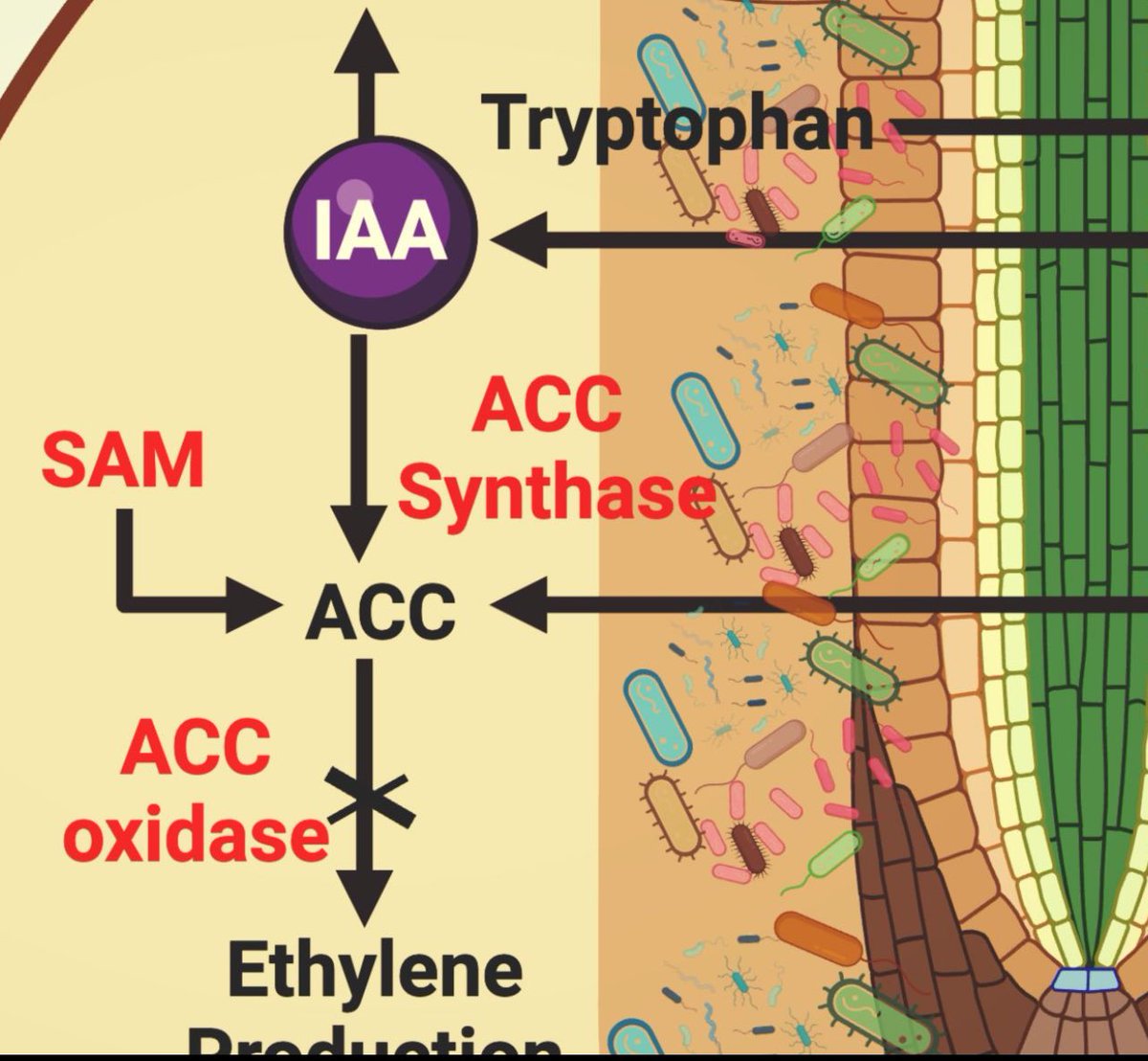Abdul Latif Khan tweet media