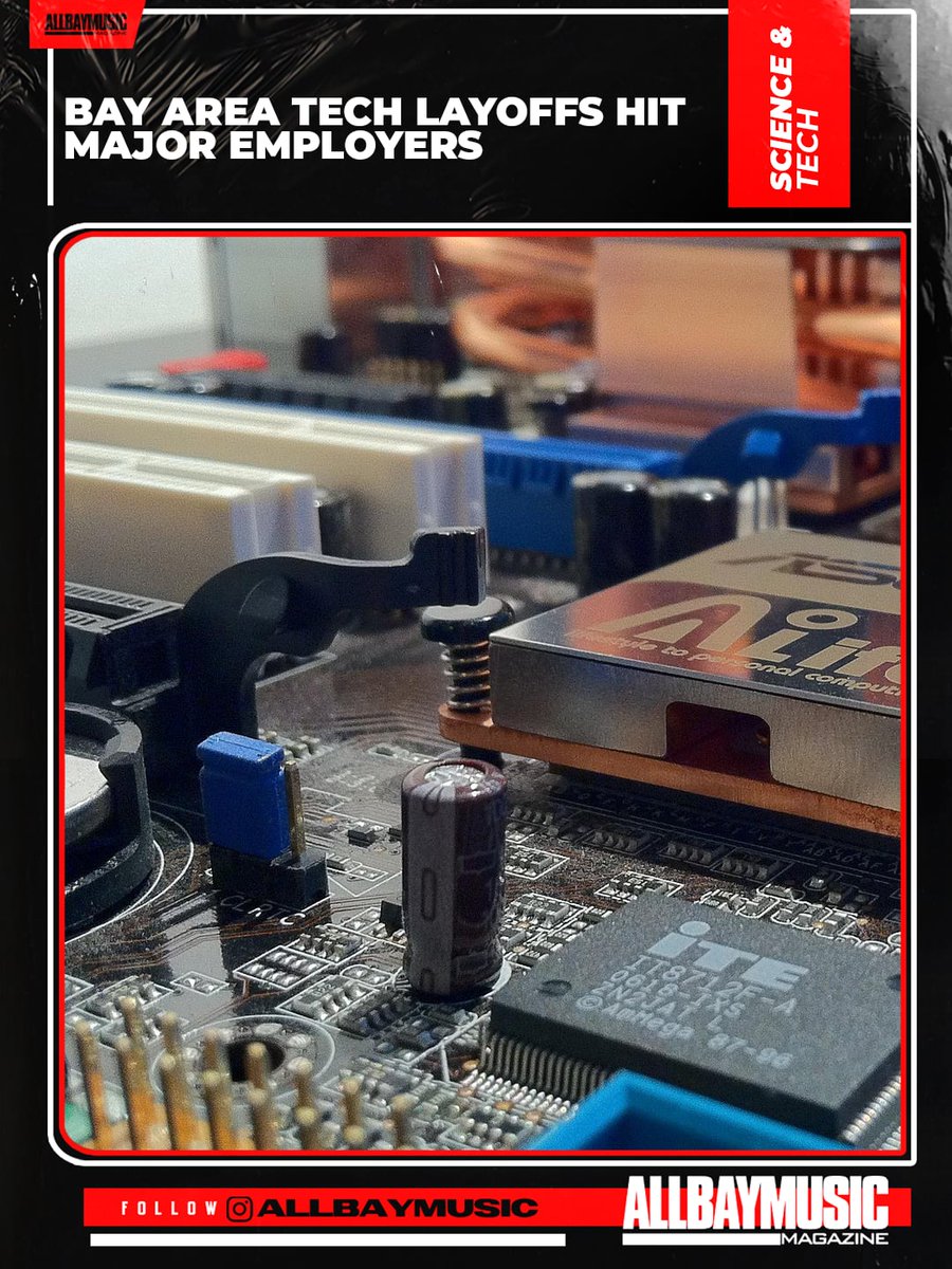 All Bay Music Mag tweet media