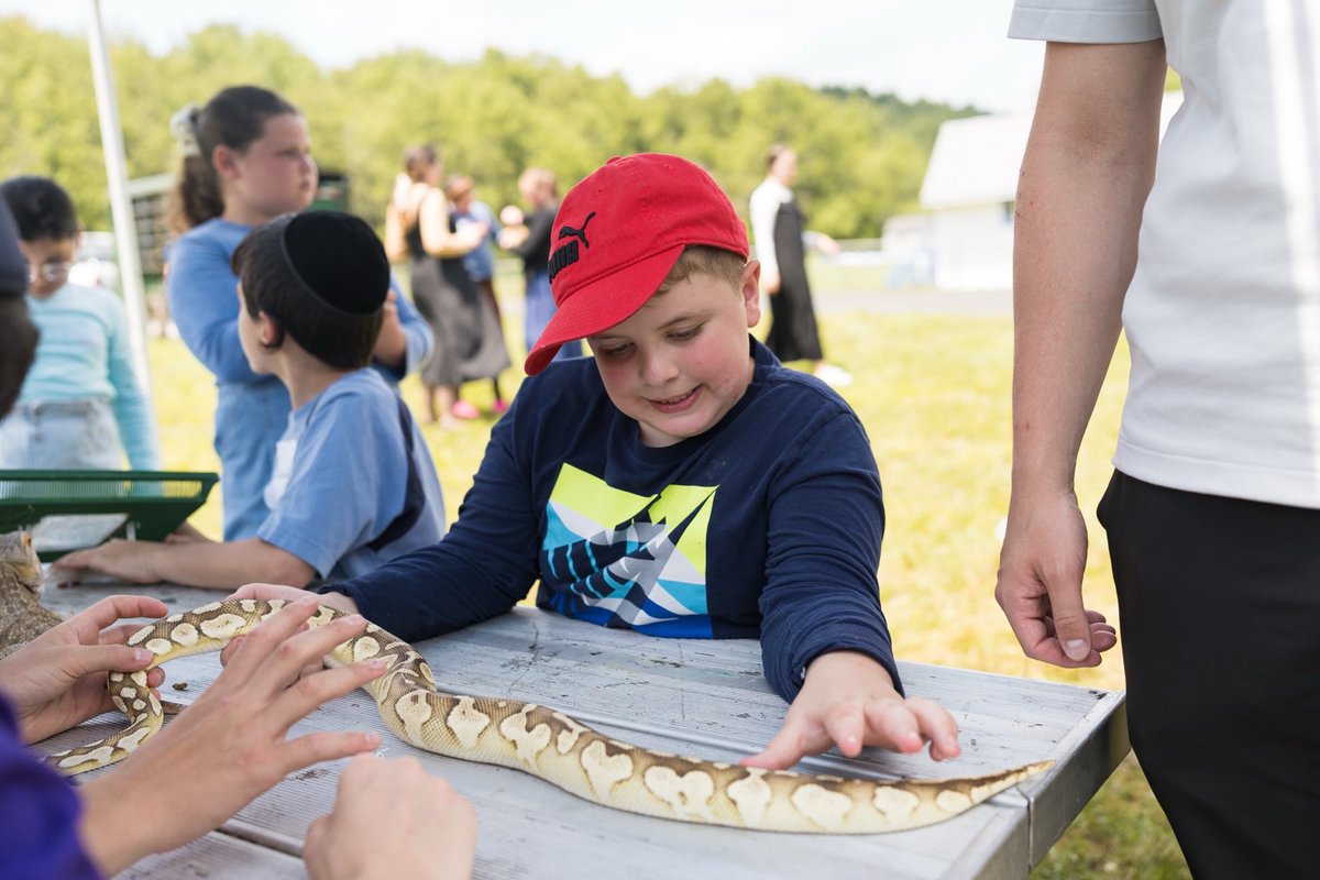 Camp HASC tweet media