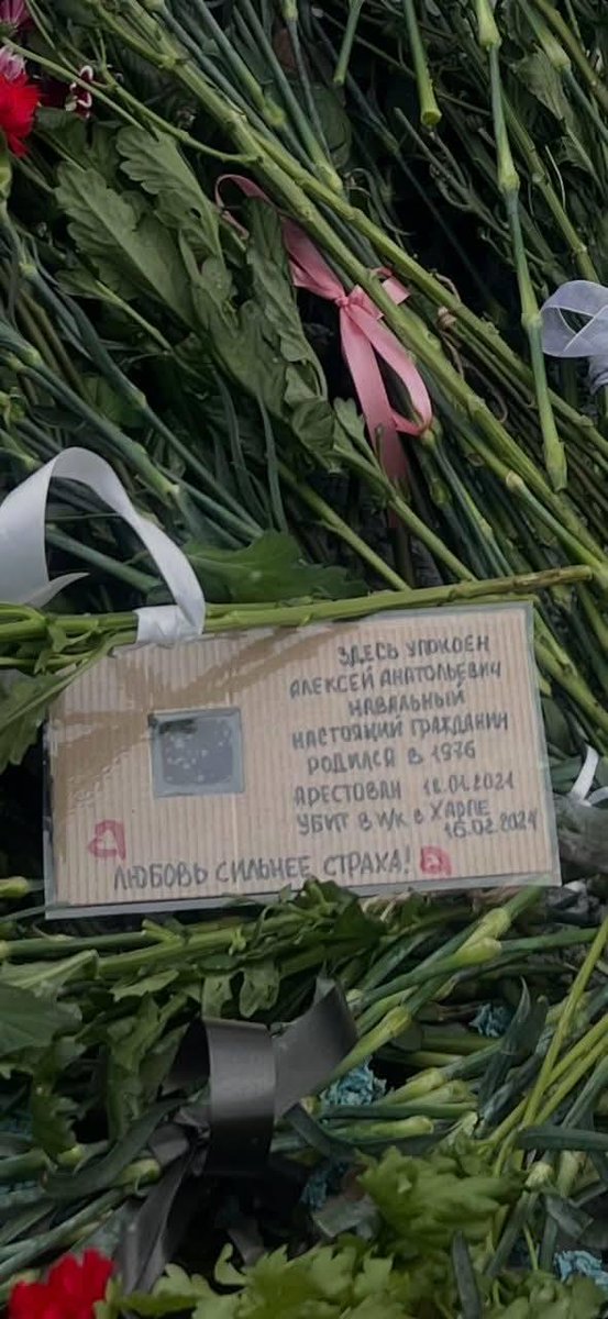 MenschVonBeruf's tweet photo. В тредсе увидела
Фото 15.02.26 https://t.co/MJki3cnxg2