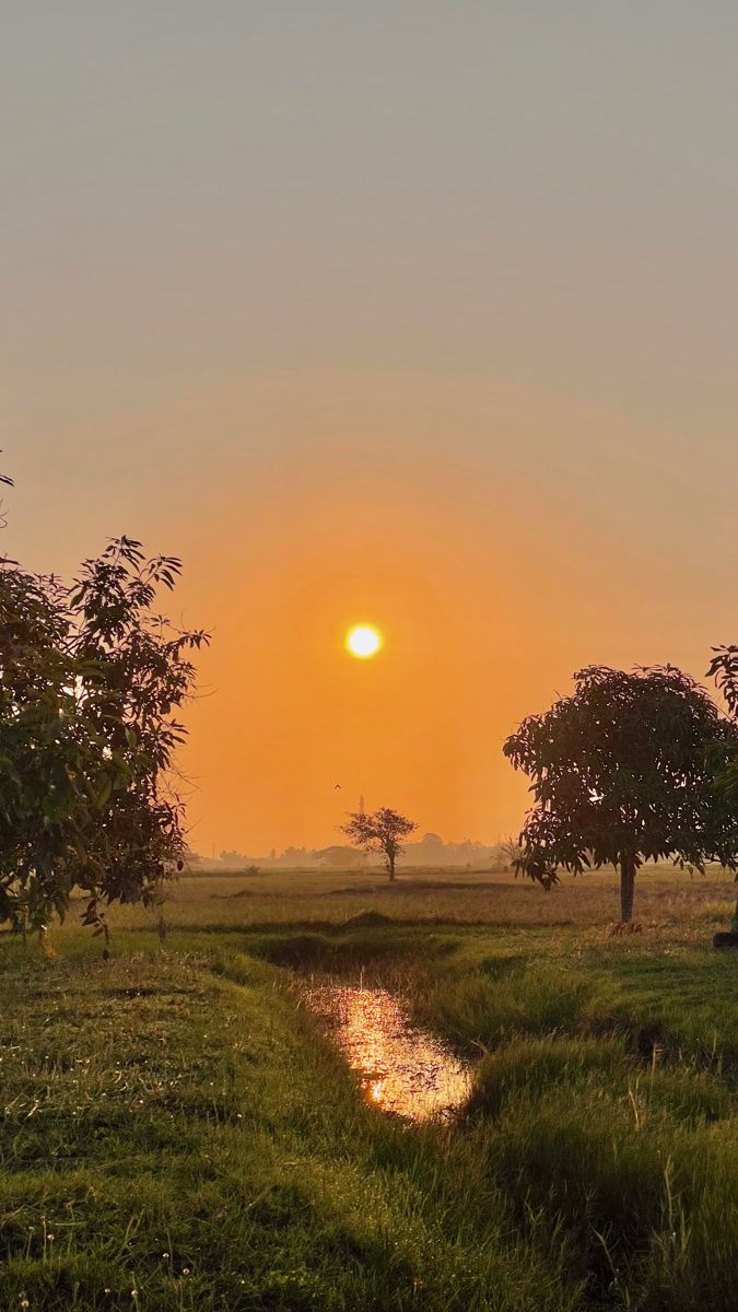 Good morning world  🌎 
शुभ प्रभात 🙏
<a href="/morning/">good</a>