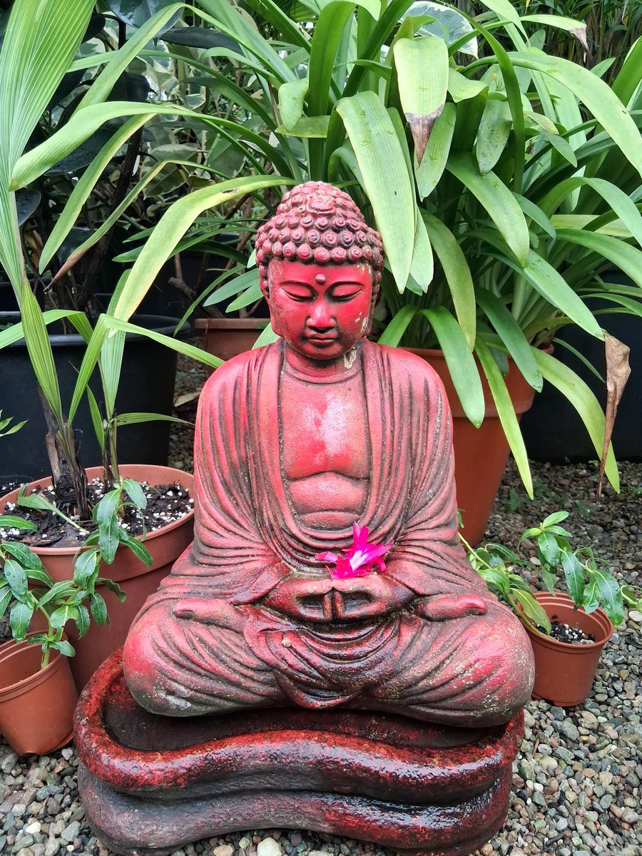 Cheyanne tweet media