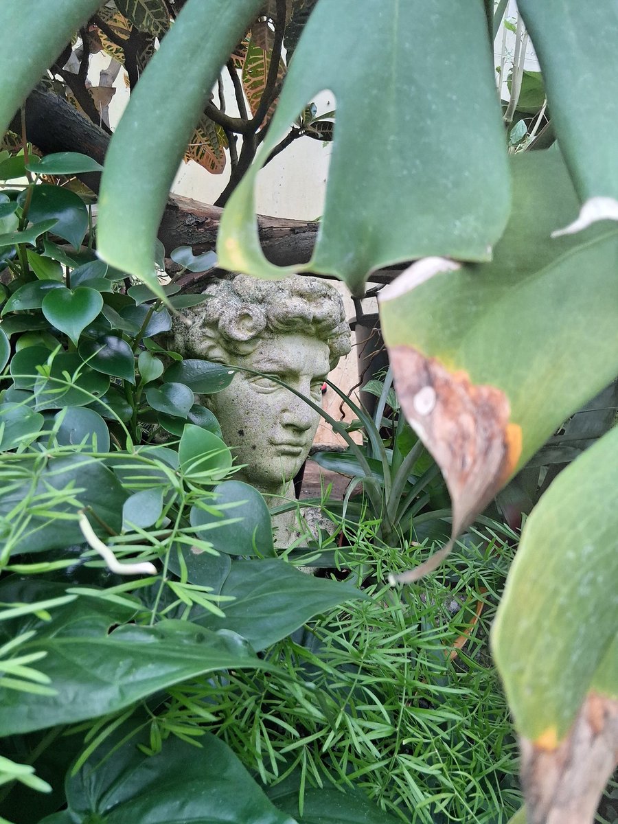 Cheyanne tweet media