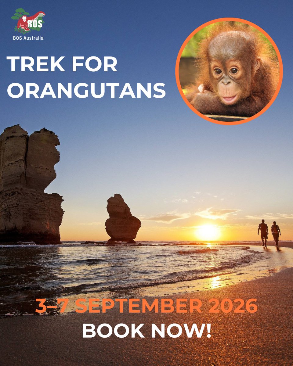 BOS Australia tweet media