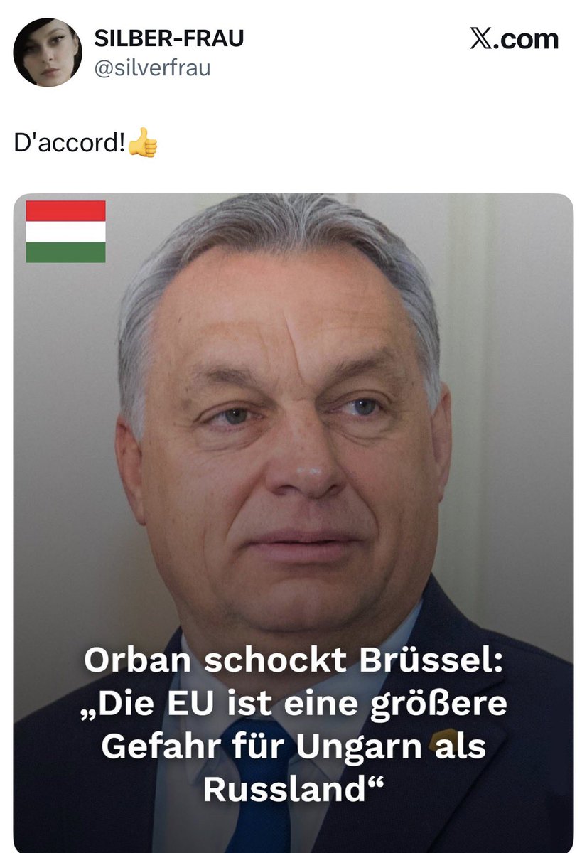 schrammi 🐠 tweet media