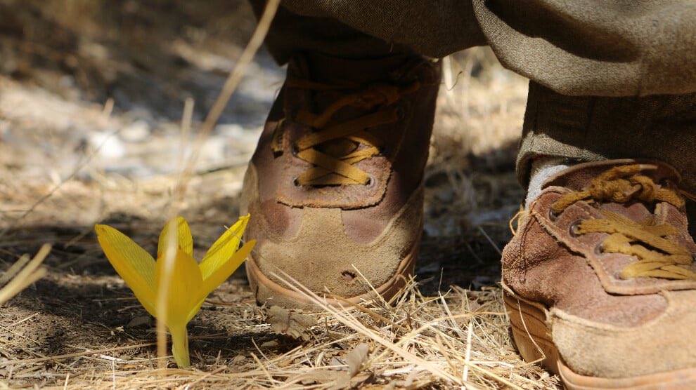 İnsan eliyle üretildiği halde dağlara, doğaya bu kadar yakışan çok az şey var.