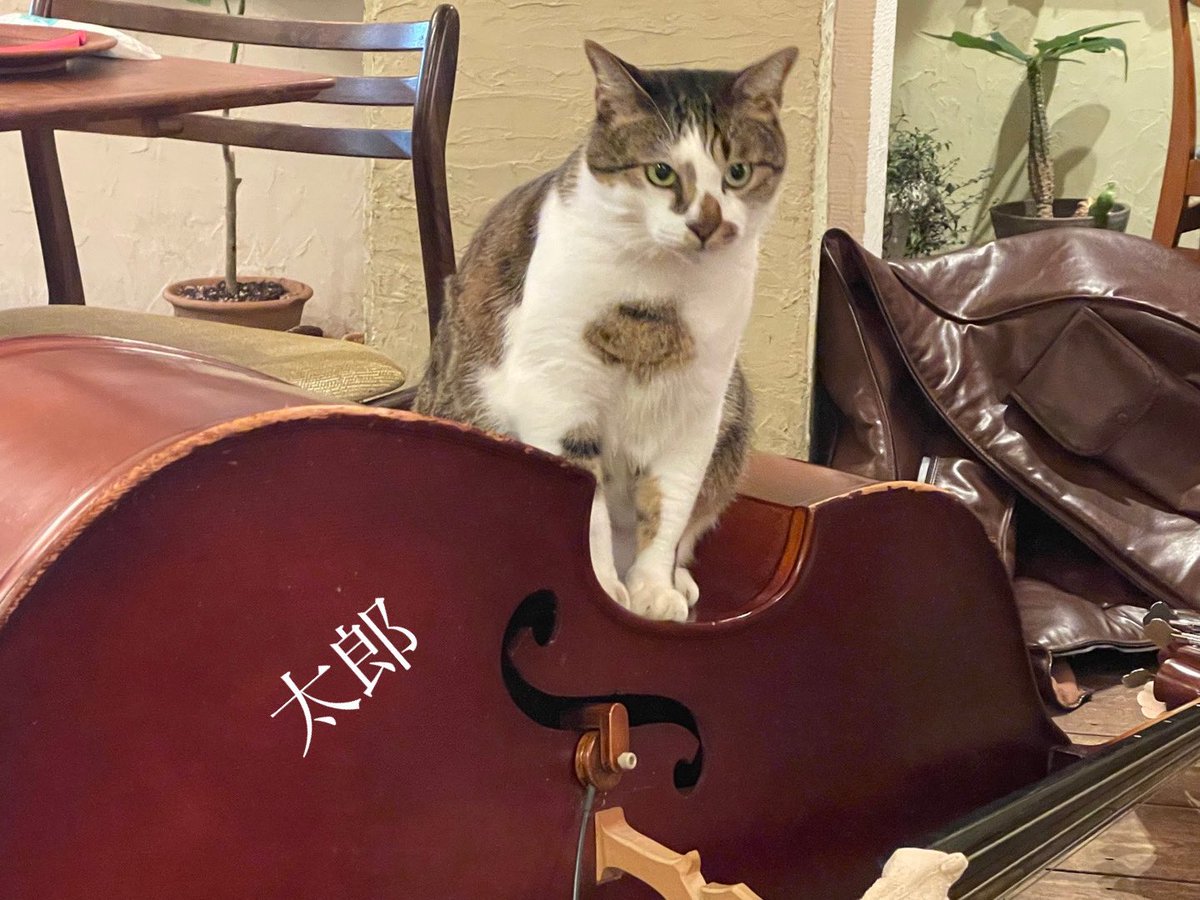 本日定休日ですが気圧上昇中
集中力アップ
事務仕事他、ワイン会のリスト、挿絵
ガンガンこなせそう　笑
低気圧さようなら